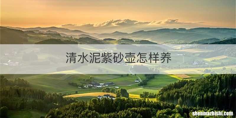 清水泥紫砂壶怎样养