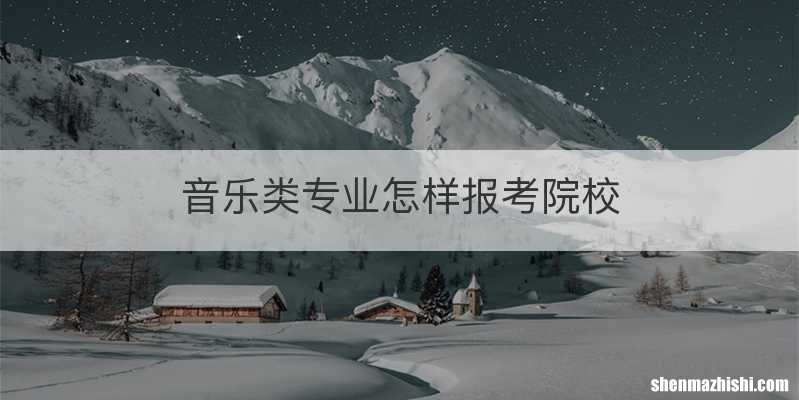 音乐类专业怎样报考院校