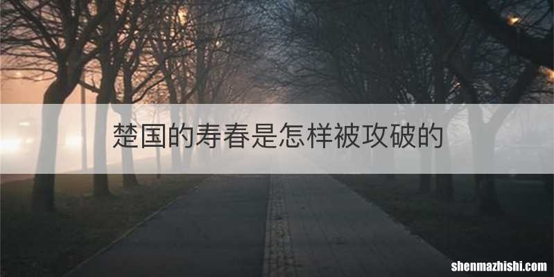 楚国的寿春是怎样被攻破的