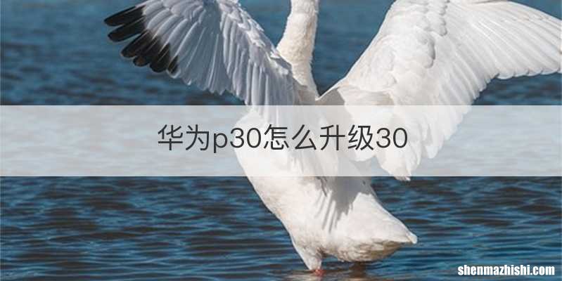 华为p30怎么升级30