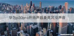 华为p30pro开扬声器麦克风没声音