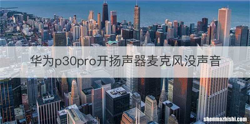 华为p30pro开扬声器麦克风没声音