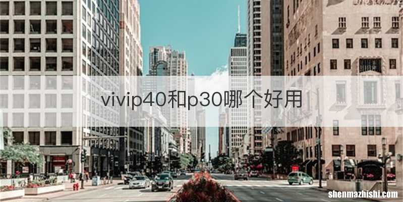 vivip40和p30哪个好用