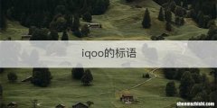 iqoo的标语