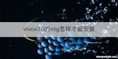 vivox70的otg怎样才能安装