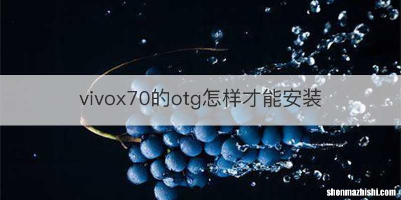 vivox70的otg怎样才能安装