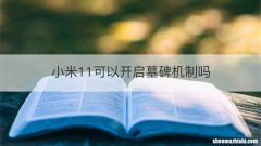 小米11可以开启墓碑机制吗