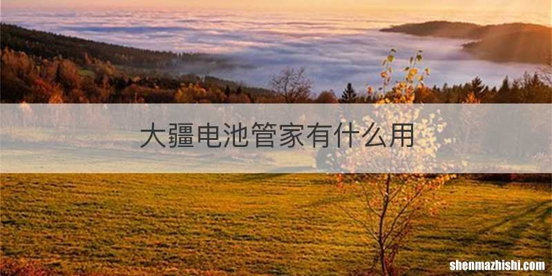 大疆电池管家有什么用