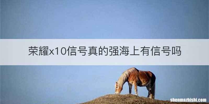 荣耀x10信号真的强海上有信号吗