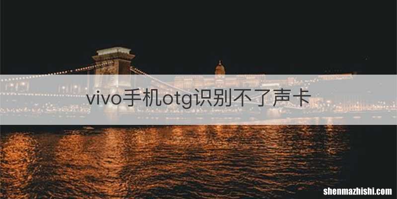 vivo手机otg识别不了声卡