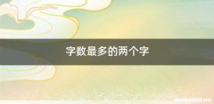 字数最多的两个字