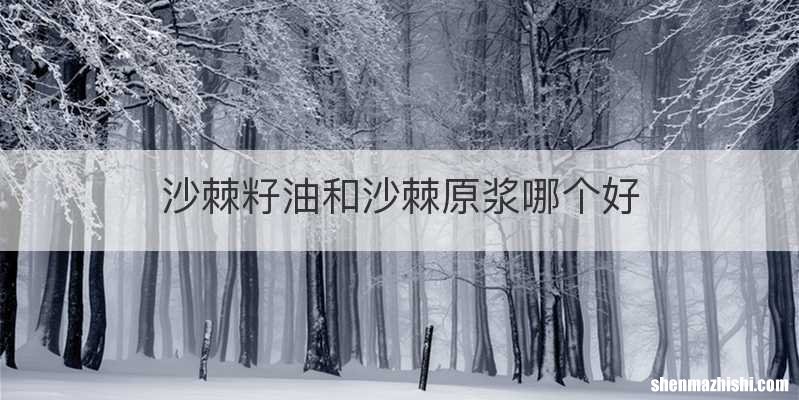 沙棘籽油和沙棘原浆哪个好