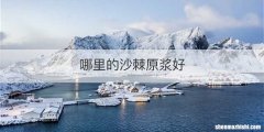 哪里的沙棘原浆好
