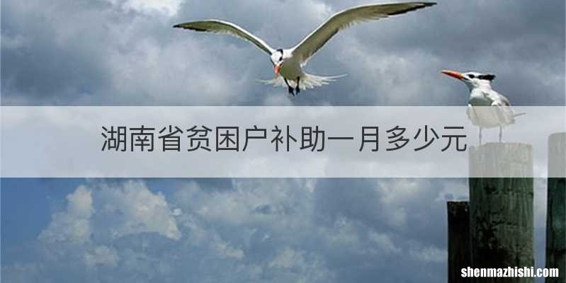 湖南省贫困户补助一月多少元
