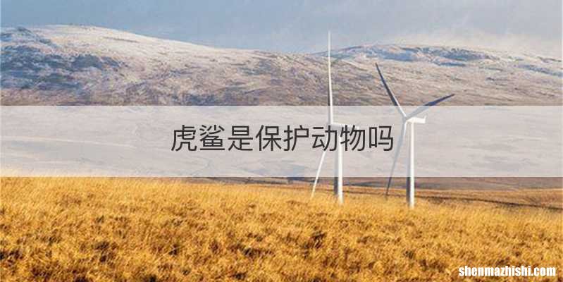 虎鲨是保护动物吗