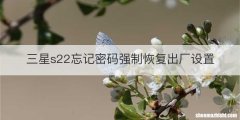 三星s22忘记密码强制恢复出厂设置