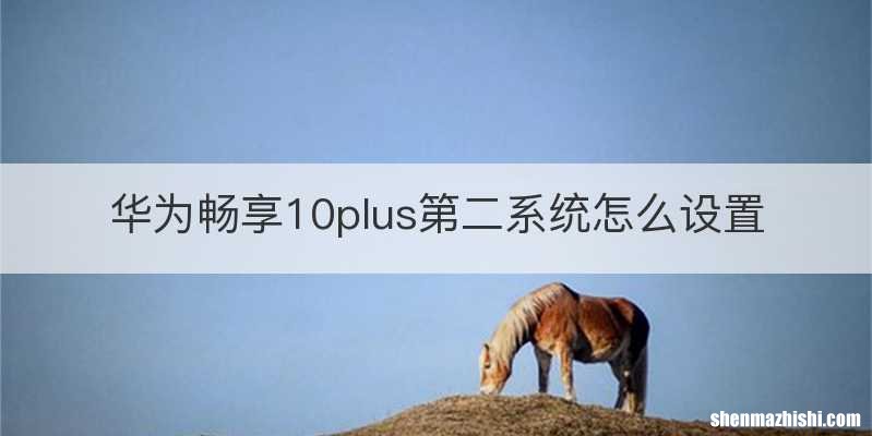 华为畅享10plus第二系统怎么设置