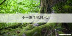 小米洗手机只出水