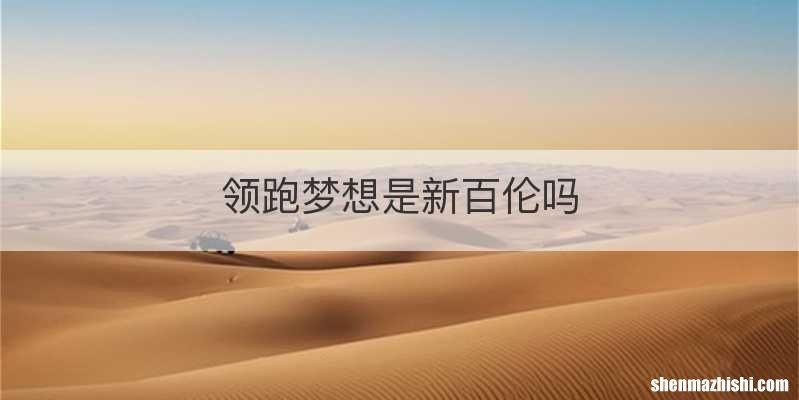 领跑梦想是新百伦吗