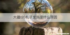 大疆t20机子发抖是什么原因