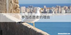 参加志愿者的理由