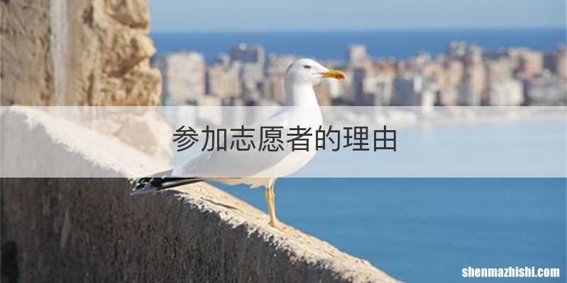 参加志愿者的理由