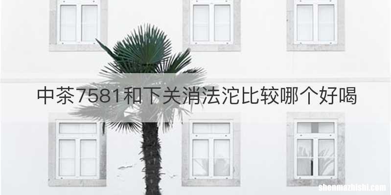 中茶7581和下关消法沱比较哪个好喝