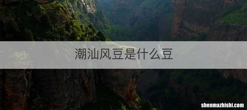 潮汕风豆是什么豆