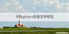 华为gt2pro表盘怎样锁定