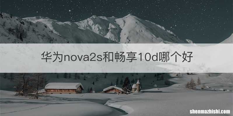 华为nova2s和畅享10d哪个好