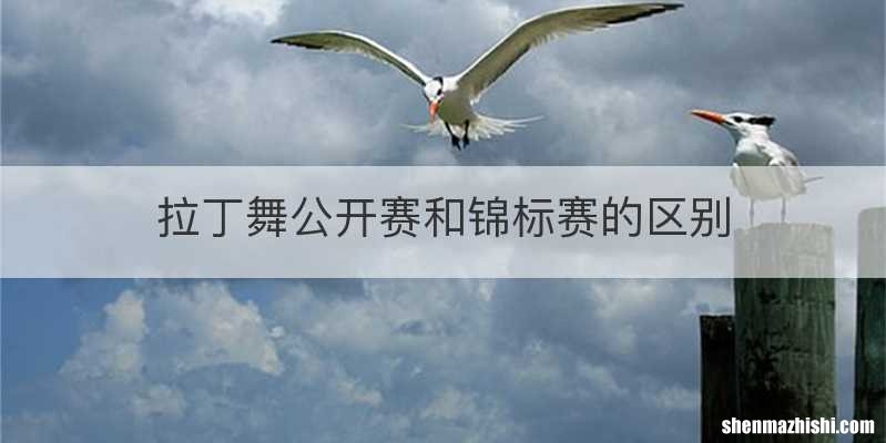 拉丁舞公开赛和锦标赛的区别