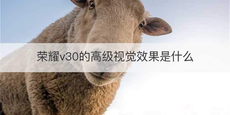 荣耀v30的高级视觉效果是什么