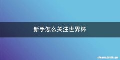 新手怎么关注世界杯