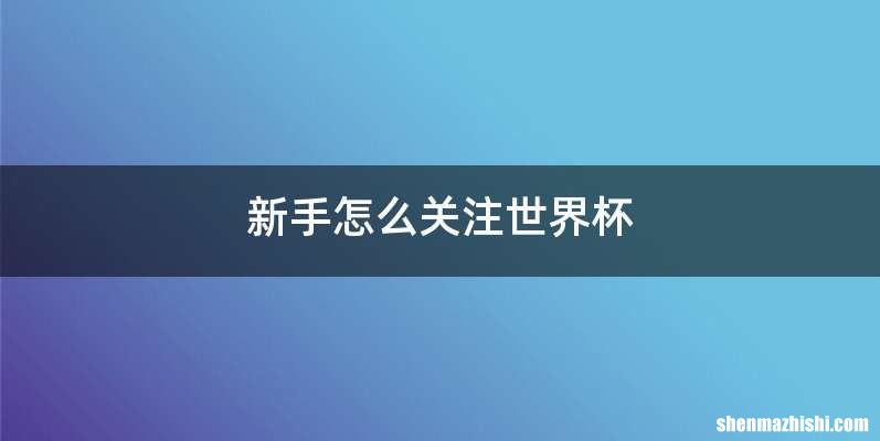 新手怎么关注世界杯