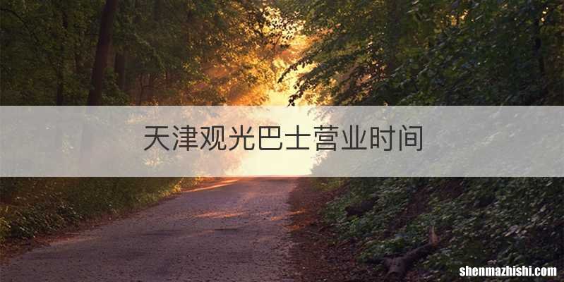 天津观光巴士营业时间