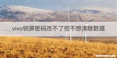 vivo锁屏密码改不了但不想清除数据