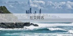 社交网名