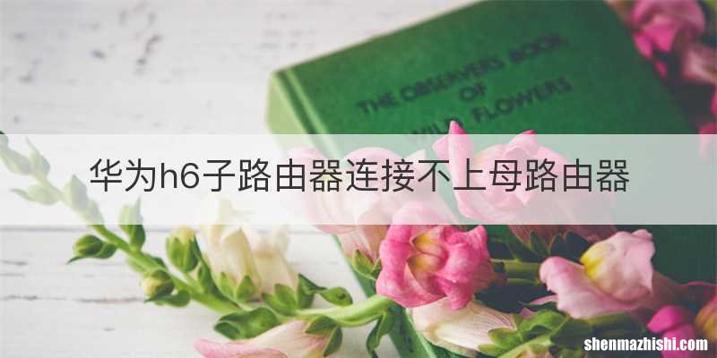 华为h6子路由器连接不上母路由器