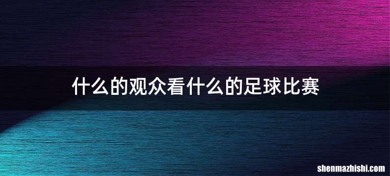 什么的观众看什么的足球比赛