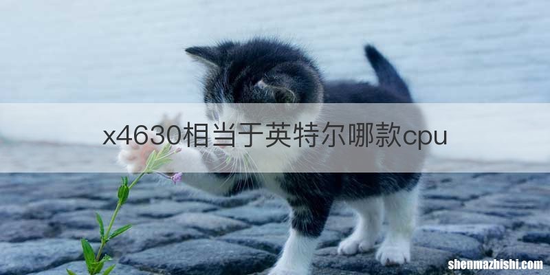 x4630相当于英特尔哪款cpu