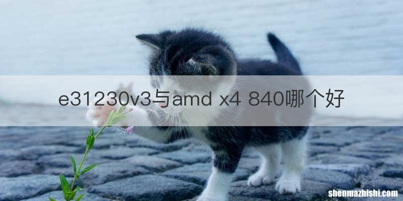 e31230v3与amd x4 840哪个好