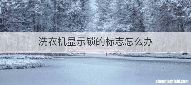 洗衣机显示锁的标志怎么办