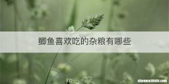 鲫鱼喜欢吃的杂粮有哪些