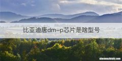 比亚迪唐dm-p芯片是啥型号