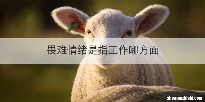 畏难情绪是指工作哪方面