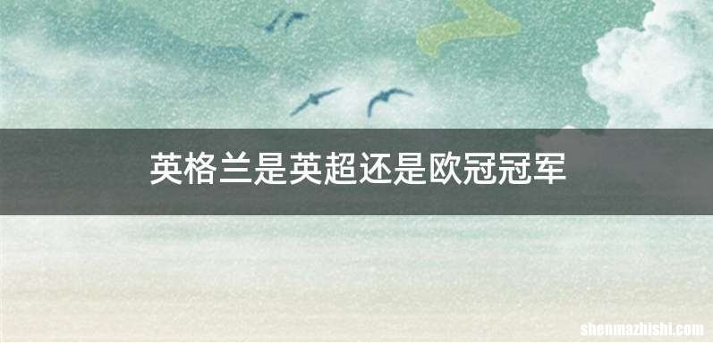 英格兰是英超还是欧冠冠军