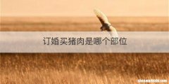 订婚买猪肉是哪个部位