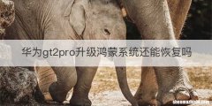 华为gt2pro升级鸿蒙系统还能恢复吗