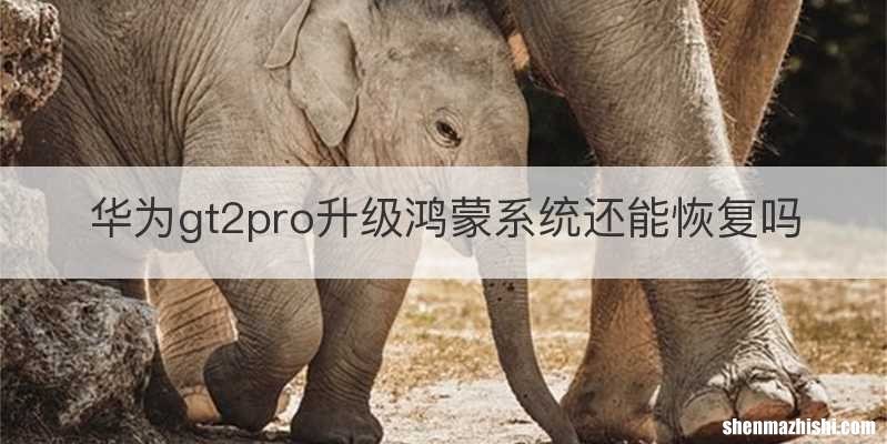华为gt2pro升级鸿蒙系统还能恢复吗