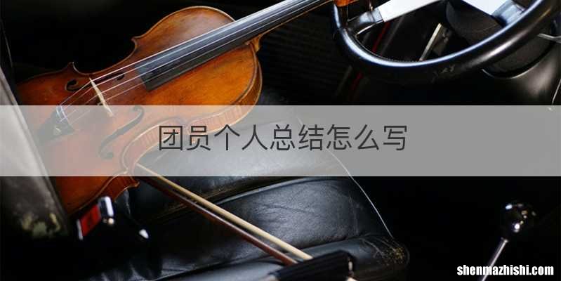 团员个人总结怎么写